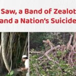 A Saw, a Band of Zealots, and a Nation’s Suicide