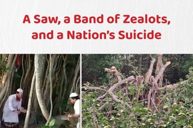 A Saw, a Band of Zealots, and a Nation’s Suicide