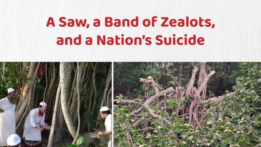 A Saw, a Band of Zealots, and a Nation’s Suicide