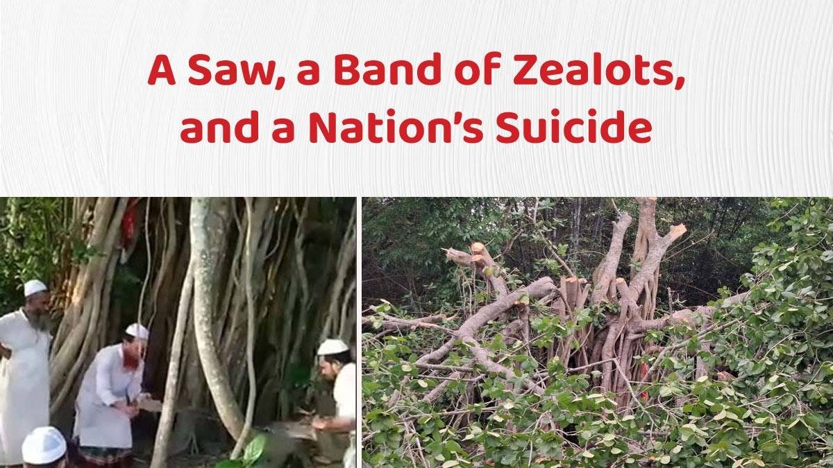 A Saw, a Band of Zealots, and a Nation’s Suicide