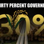 A Thirty Percent Government!
