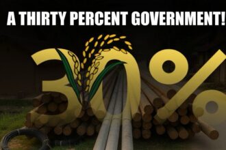 A Thirty Percent Government!