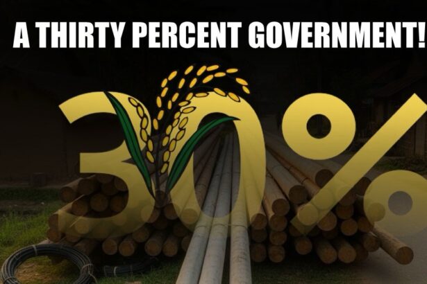 A Thirty Percent Government!