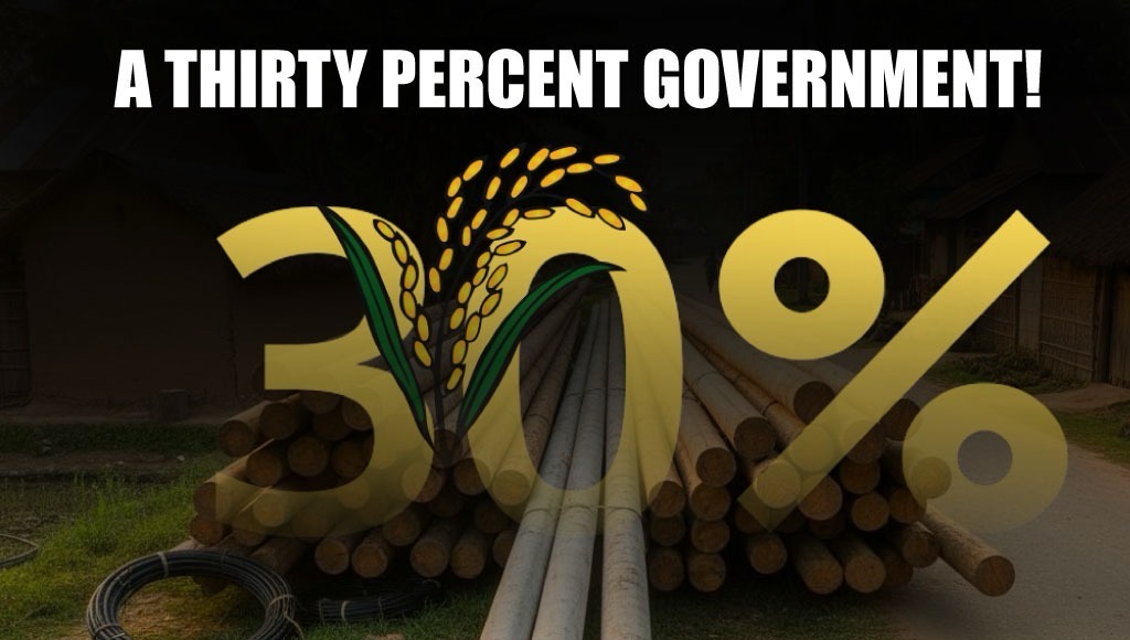 A Thirty Percent Government!